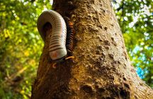 Private Half Day Caves & River Adventure tour at Charco Azul