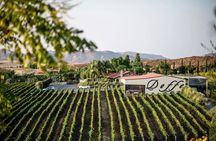 Privé Signature Wine Tour 3 Vineyards Wine Tastings and Lunch