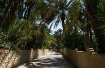 Al Ain Tour with Oasis, Forts, Mountain & more from Abu Dhabi