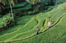 Ubud Instagramable tour 