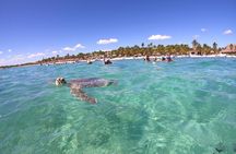 Swim with Turtles in Akumal