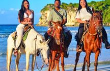 Beach Sunset on Horse Riding in Punta Cana(Private Option)
