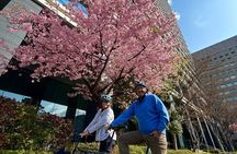 Explore Tokyo’s Must-See Spots by E-Bike – Small Group 3h Tour