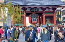 Explore Tokyo’s Must-See Spots by E-Bike – Small Group 3h Tour