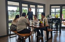 Hunter Valley Small Group Wine Tasting Tour w Lunch from Sydney