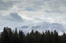 Small Group Skagway White Pass And Gold Rush Adventure