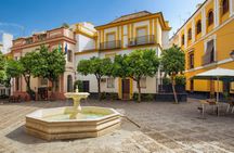 Seville Highlights: Private Family Guided Tour