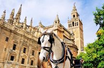 Seville Highlights: Private Family Guided Tour