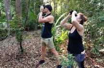 JungleWalla Desaru Coast Birdwatching