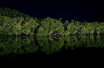 JungleWalla Desaru Mangrove Afterdark | Firefly Cruise Tour