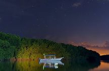 JungleWalla Desaru Mangrove Afterdark | Firefly Cruise Tour