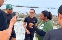 JungleWalla Desaru Beachlife & Tidepool Discovery
