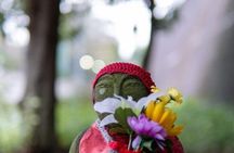 Nikko Private Tour By Car With Pick Up From Tokyo