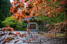 Nikko Private Tour By Car With Pick Up From Tokyo