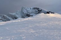 From Granada: Sierra Nevada Safari tour up to 2500 meters high 