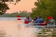 Clear Kayak Morning Tour in Anna Maria Island
