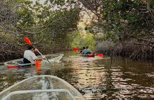 Clear Kayak Morning Tour in Anna Maria Island