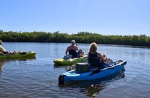 Kickin’ Kayaks Morning Wildlife Tour