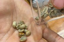 Coffee Tasting, A Ritual of Flavours