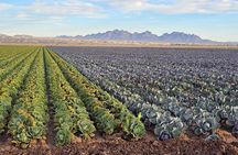 Yuma AZ Half Day Narrated Historic Sightseeing Tour