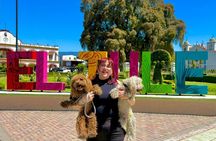 Half Day: El tule, Teotitlán y zona arqueologica de mitla