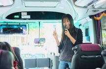 Osaka Kyoto: Nijo Castle, Nara, Arashiyama, Day Trip by Bus