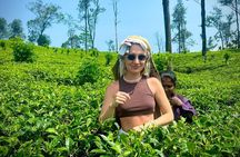 7 Nights 8 Days Private Sri Lanka Safari Tour With Star Hotel