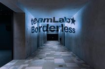 Futuristic Tokyo Tour in teamLab Borderless and City Views