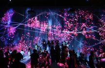 TeamLab Planets Art and Tsukiji Market Food Tour in Tokyo