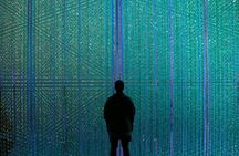 Futuristic Tokyo Tour in teamLab Borderless and City Views