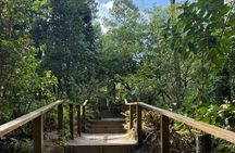 San Salvador Volcano and Fascinating Historic Center