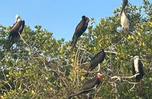 Kayaking in San Jose Ixtapa Lagoon with Luis de la Maza