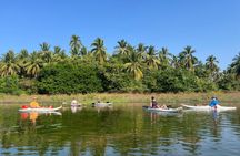 Kayaking in San Jose Ixtapa Lagoon with Luis de la Maza