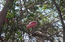 Kayaking in San Jose Ixtapa Lagoon with Luis de la Maza