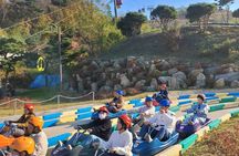 NorthKorea View at Aegibong & Ganghwa Island Luge Tour from Seoul