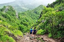 Le Morne Brabant Hike A Journey Through History