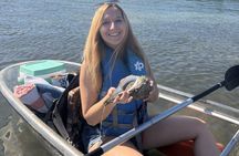 2 Hour Clear Kayak Mangrove Eco Tours, St Pete