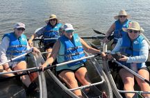 2 Hour Clear Kayak Mangrove Eco Tours, St Pete