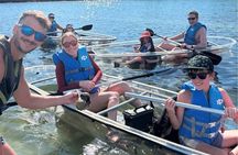 2 Hour Clear Kayak Mangrove Eco Tours, St Pete