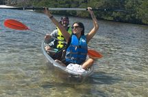 2 Hour Clear Kayak Mangrove Eco Tours, St Pete