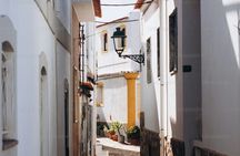 Rabat Imperial City Half Day Guided Tour with ticket Chellah