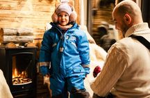 Arctic Night Odyssey: Northern Lights Drive & Snowmobile Safari