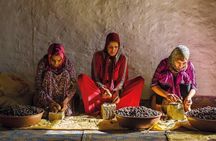 Marrakech Shopping Tour Carpet & Argan