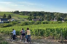 Loire Valley Ultimate E-bike Tour: Amboise, Chenonceau & Wine
