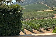 Kavala: Winery tour & Wine Tasting with food pairings in Kavala