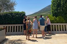 Kavala: Winery tour & Wine Tasting with food pairings in Kavala
