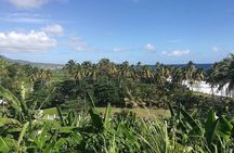 Mesopotamia Valley Scenic Drive and Local Farm Experience