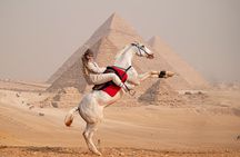 Giza pyramids jumping horse photoshoot 