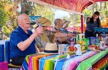 Mexico City : Leisurely Xochimilco Boat tour - Easy Boarding & Top