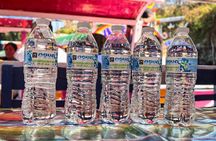 Mexico City : Leisurely Xochimilco Boat tour - Easy Boarding & Top